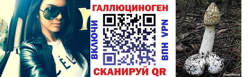 Псилоцибиновые грибы Magic Shrooms  Электрогорск 